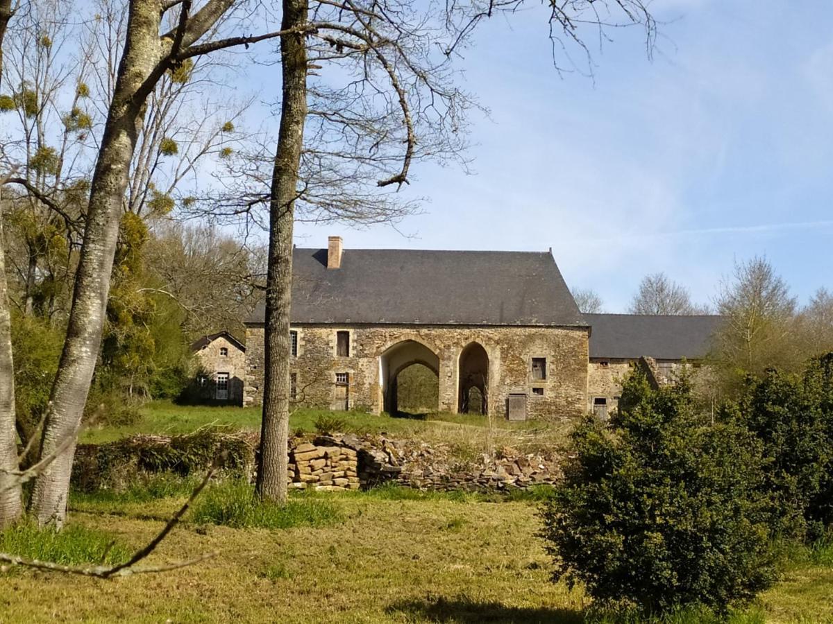 La Chaussee D'olivet En Mayenne Couette-café